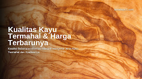 6 Jenis Kayu Termahal dan Biaya yang harus dikeluarkan